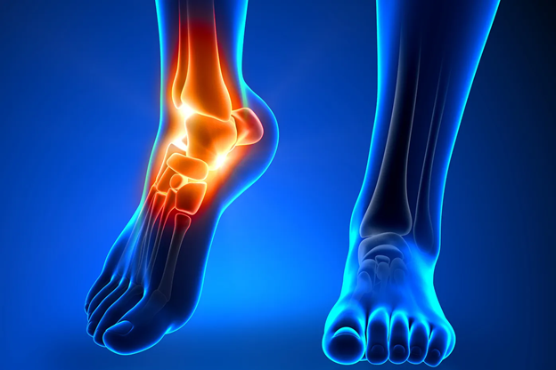 Nerve structures in the foot
